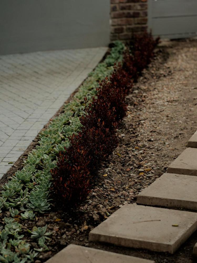 ג'ורג' Arbour1 Guesthouse מראה חיצוני תמונה