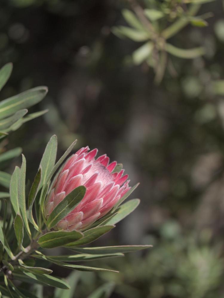 ג'ורג' Arbour1 Guesthouse מראה חיצוני תמונה